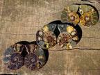 Polished Red Ammolite Cleoniceras Opalized Ammonite Fossil Pairs x 3 From Tulear, Madagascar