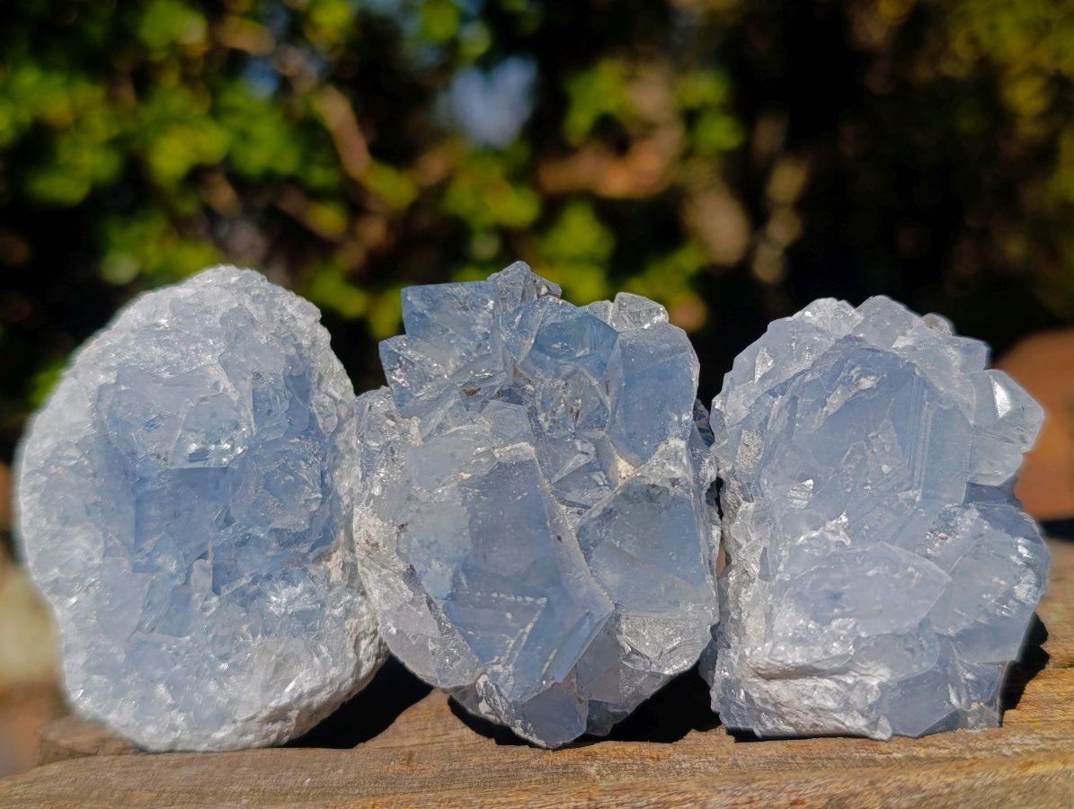 Natural Blue Celestite Specimens x 37 From Sakoany, Madagascar