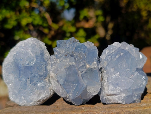 Natural Blue Celestite Specimens x 37 From Sakoany, Madagascar