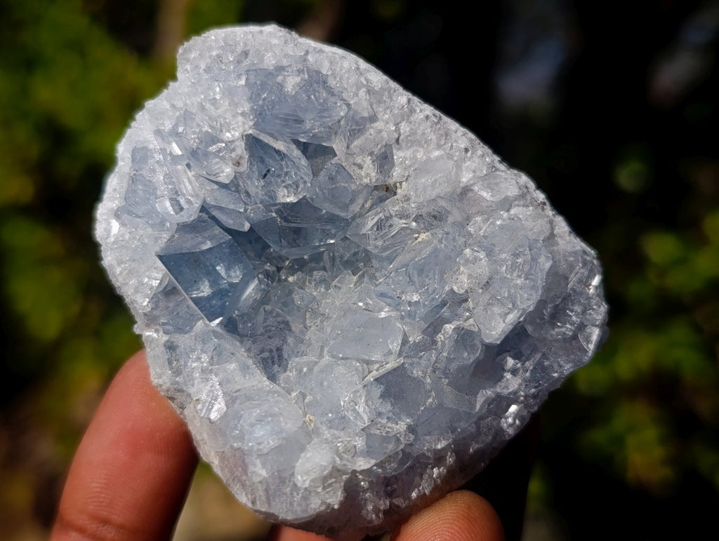 Natural Blue Celestite Specimens x 37 From Sakoany, Madagascar
