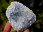 Natural Blue Celestite Specimens x 37 From Sakoany, Madagascar