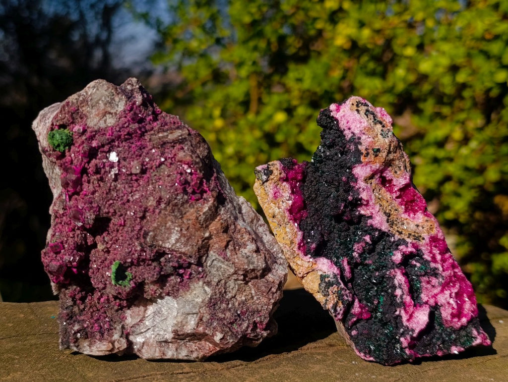 Natural Salrose Cobaltoan Dolomite Specimens with Malachite and Heterogenite x 4 From Kakanda, Congo