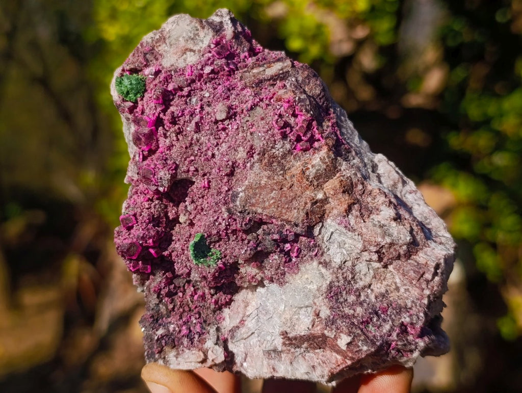 Natural Salrose Cobaltoan Dolomite Specimens with Malachite and Heterogenite x 4 From Kakanda, Congo