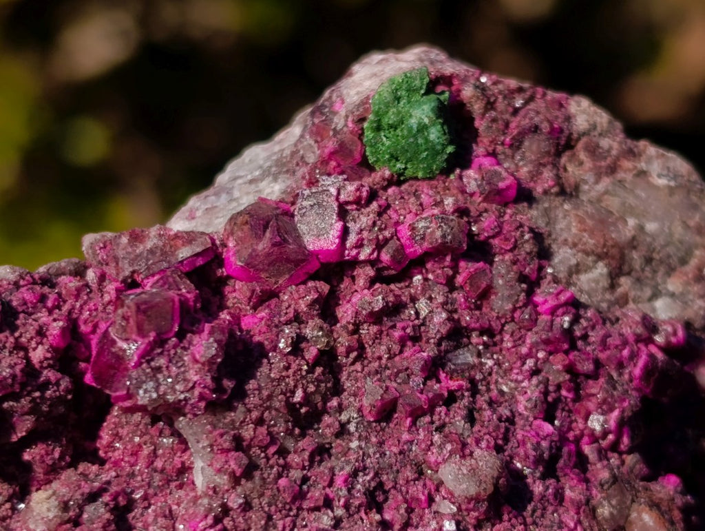 Natural Salrose Cobaltoan Dolomite Specimens with Malachite and Heterogenite x 4 From Kakanda, Congo