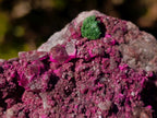 Natural Salrose Cobaltoan Dolomite Specimens with Malachite and Heterogenite x 4 From Kakanda, Congo