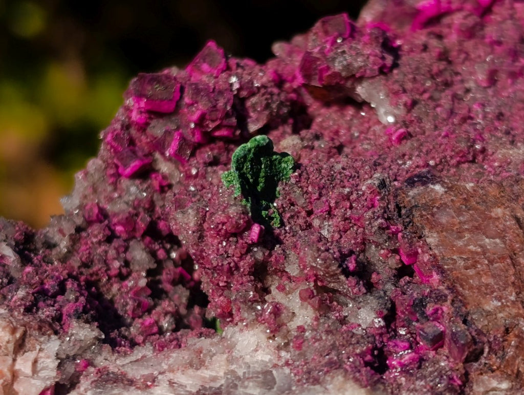 Natural Salrose Cobaltoan Dolomite Specimens with Malachite and Heterogenite x 4 From Kakanda, Congo
