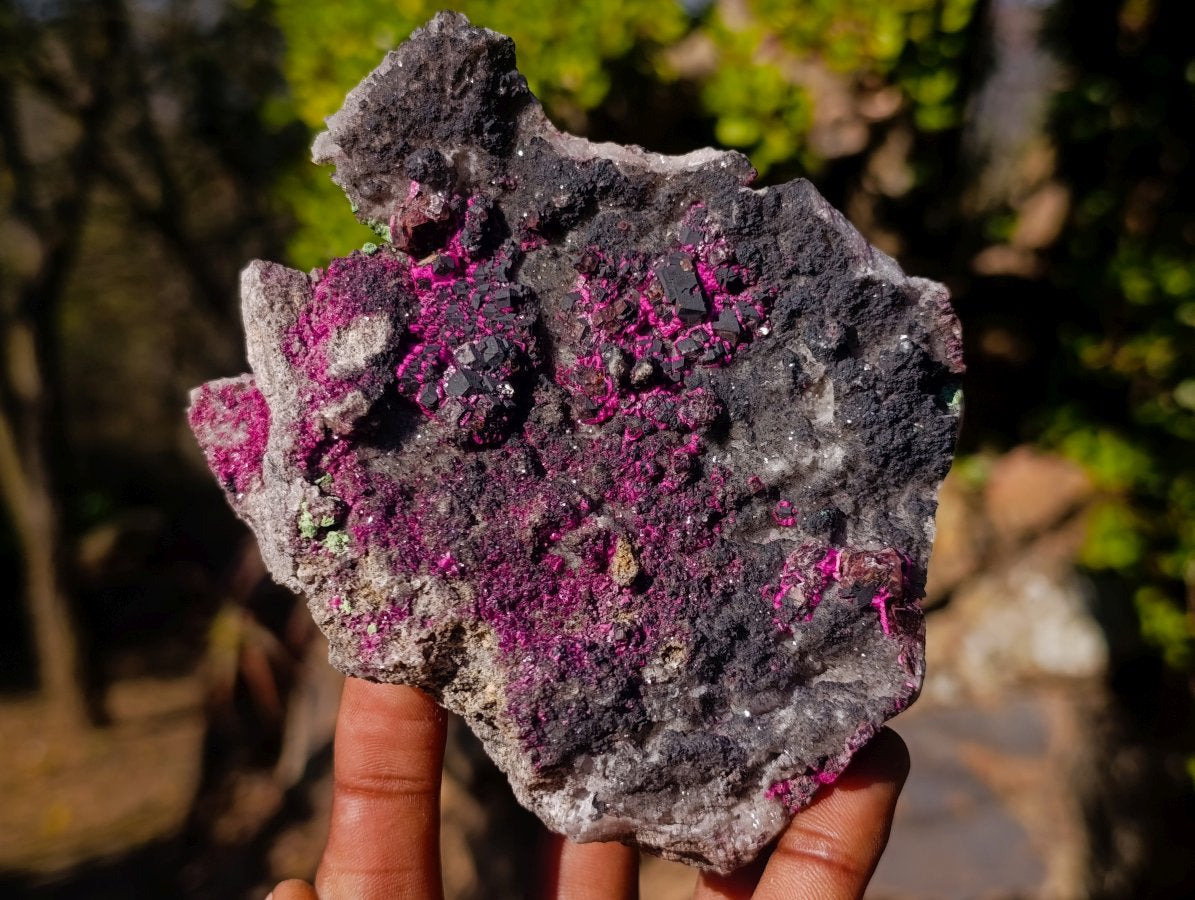 Natural Salrose Cobaltoan Dolomite Specimens with Malachite and Heterogenite x 4 From Kakanda, Congo