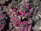 Natural Salrose Cobaltoan Dolomite Specimens with Malachite and Heterogenite x 4 From Kakanda, Congo