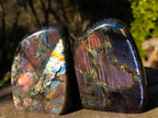 Polished Labradorite Standing Display Pieces x 3 From Madagascar