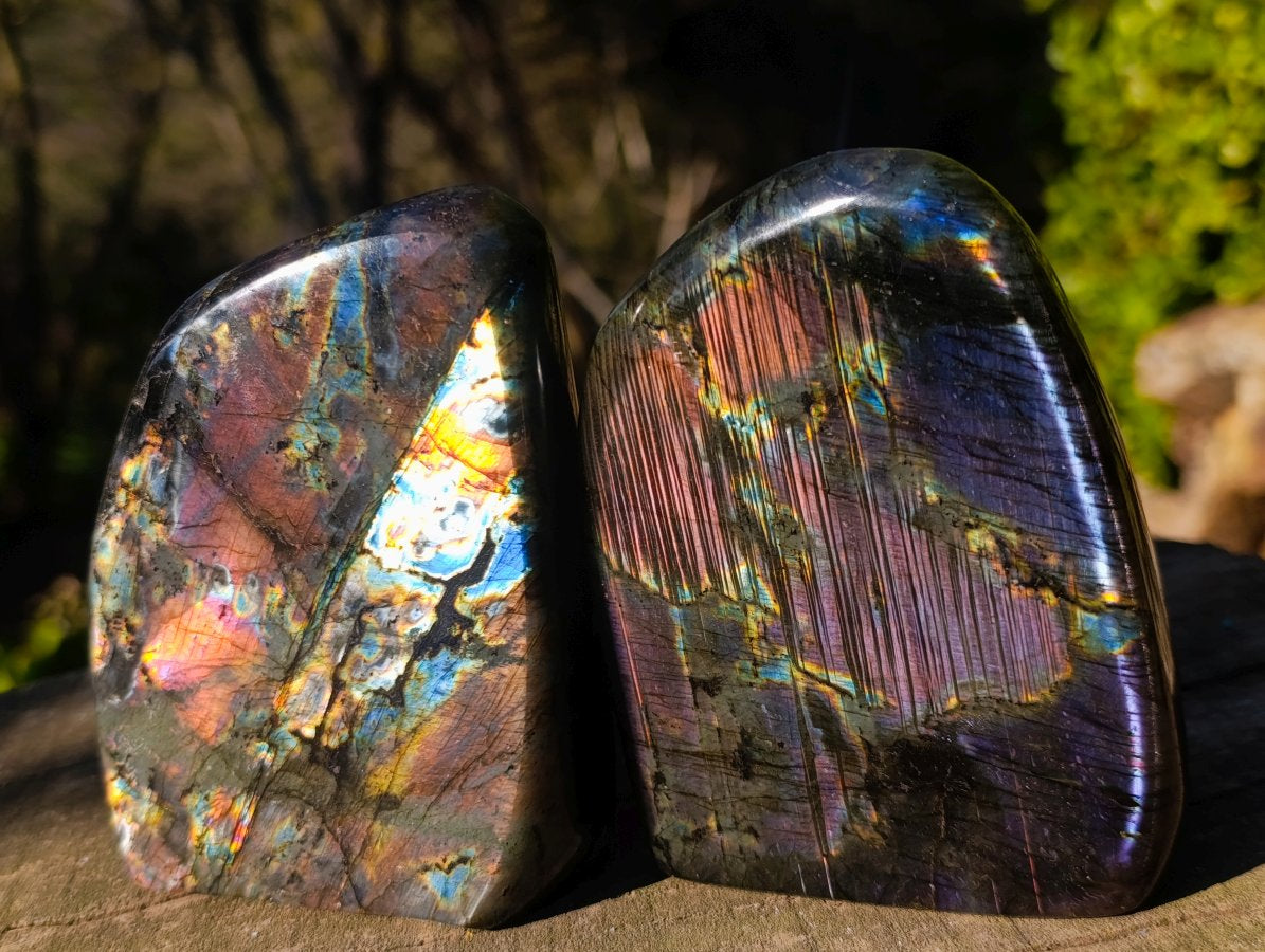 Polished Labradorite Standing Display Pieces x 3 From Madagascar