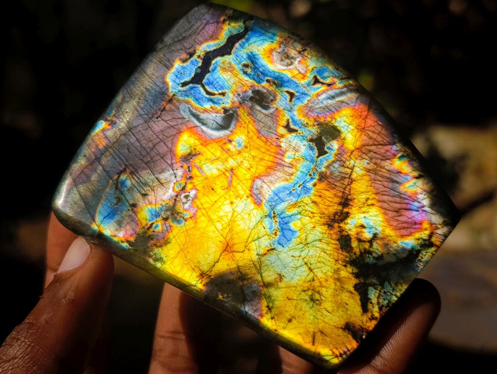 Polished Labradorite Standing Display Pieces x 3 From Madagascar