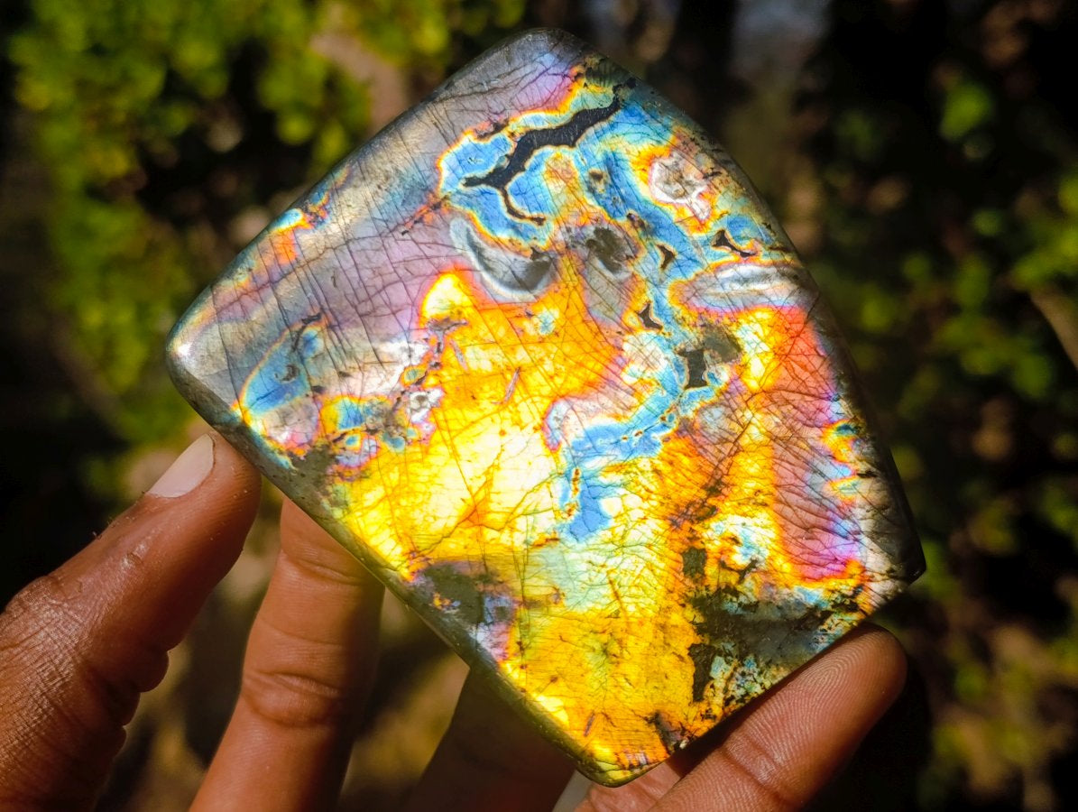 Polished Labradorite Standing Display Pieces x 3 From Madagascar
