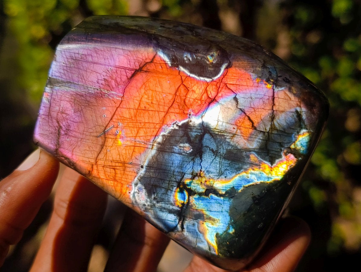 Polished Labradorite Standing Display Pieces x 3 From Madagascar