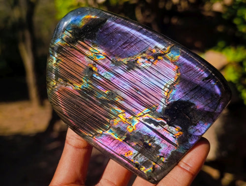 Polished Labradorite Standing Display Pieces x 3 From Madagascar