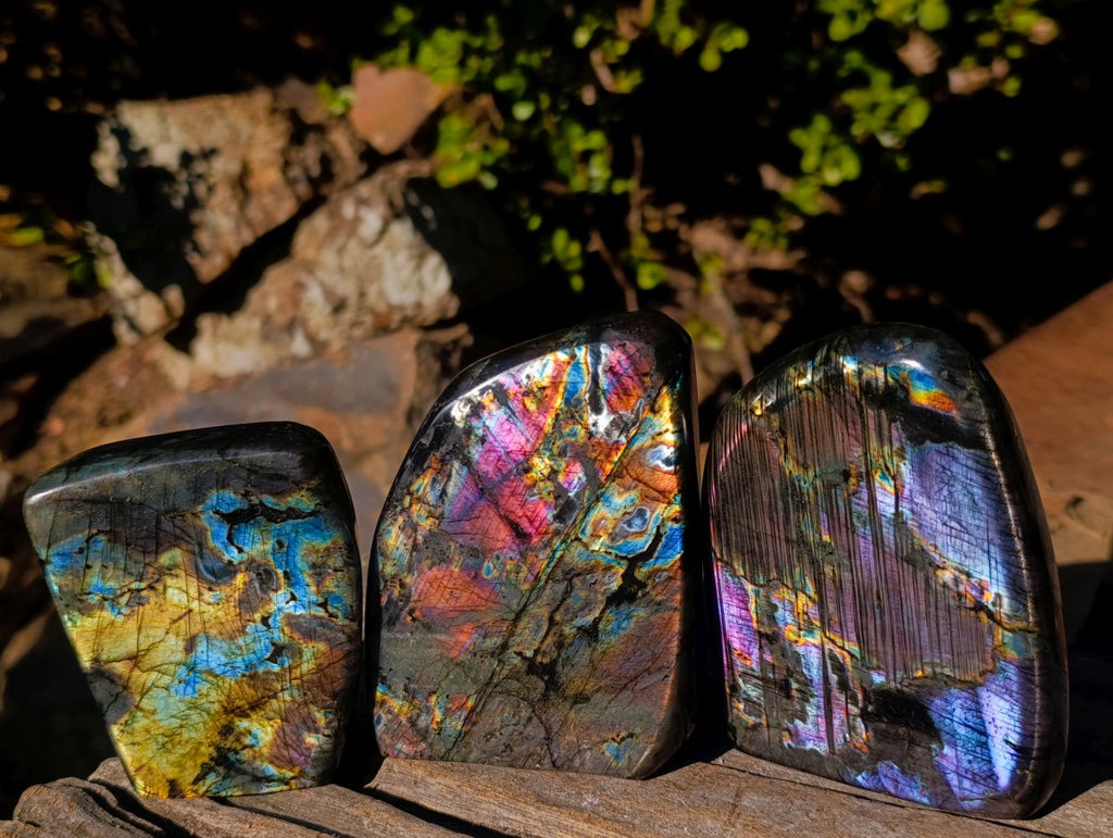 Polished Labradorite Standing Display Pieces x 3 From Madagascar