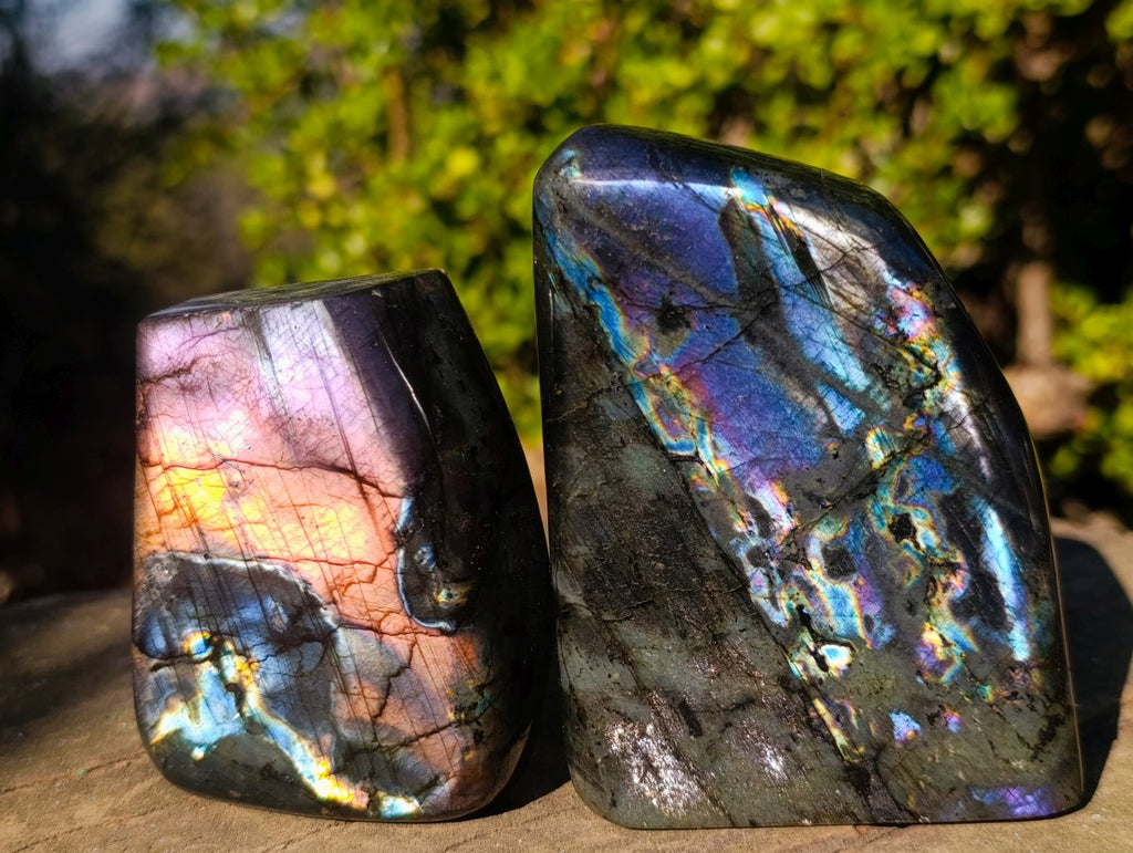 Polished Labradorite Standing Display Pieces x 3 From Madagascar