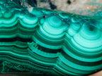 Polished Large Flower Banded Malachite Free Form x 1 From Congo - Toprock Gemstones and Minerals 