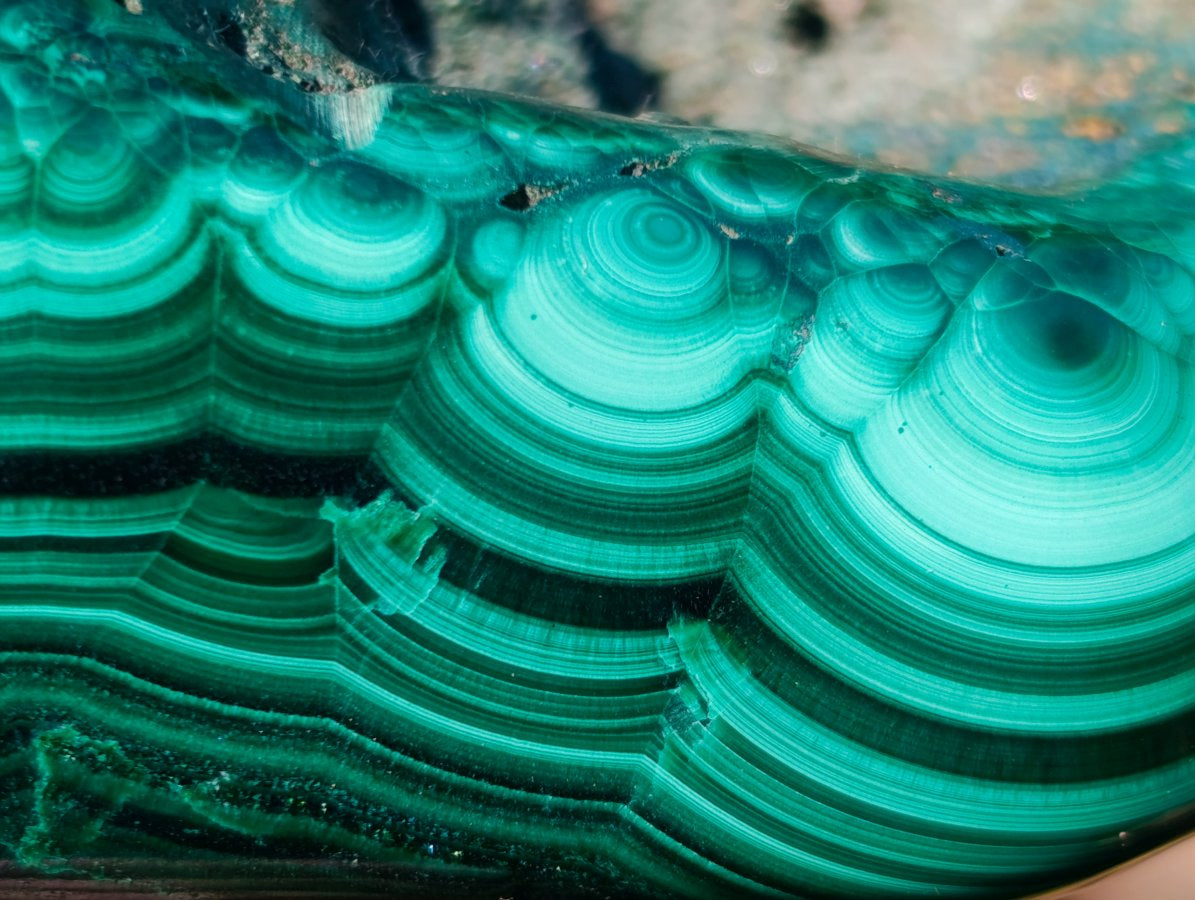 Polished Large Flower Banded Malachite Free Form x 1 From Congo - Toprock Gemstones and Minerals 