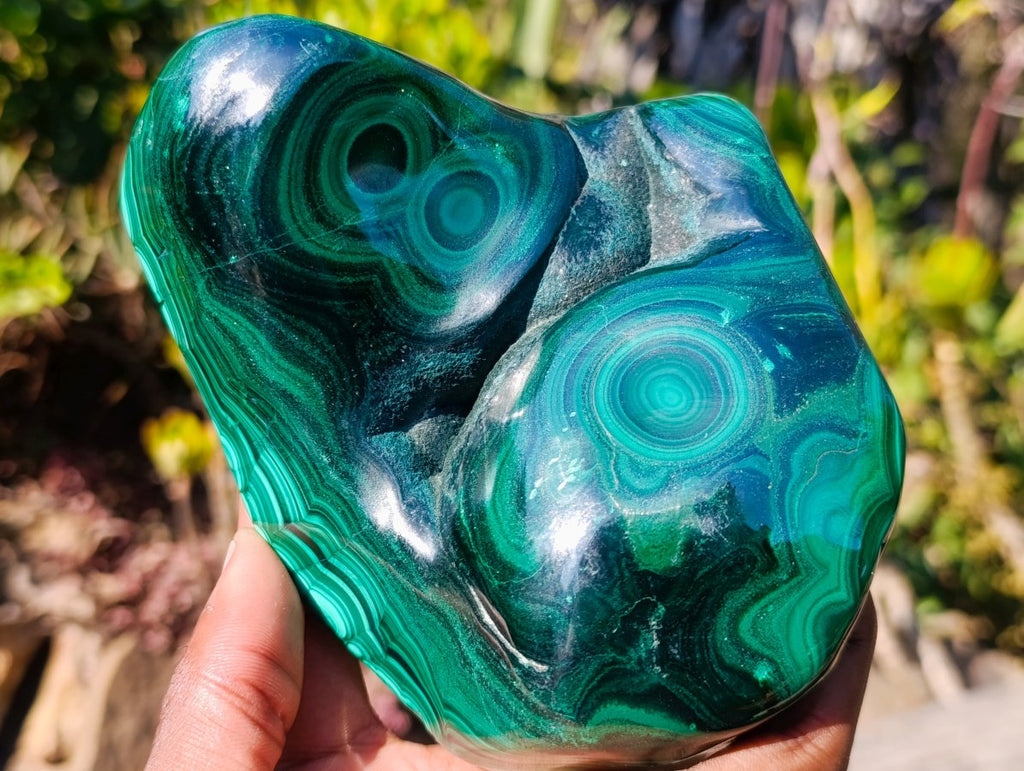 Polished Large Flower Banded Malachite Free Form x 1 From Congo - Toprock Gemstones and Minerals 