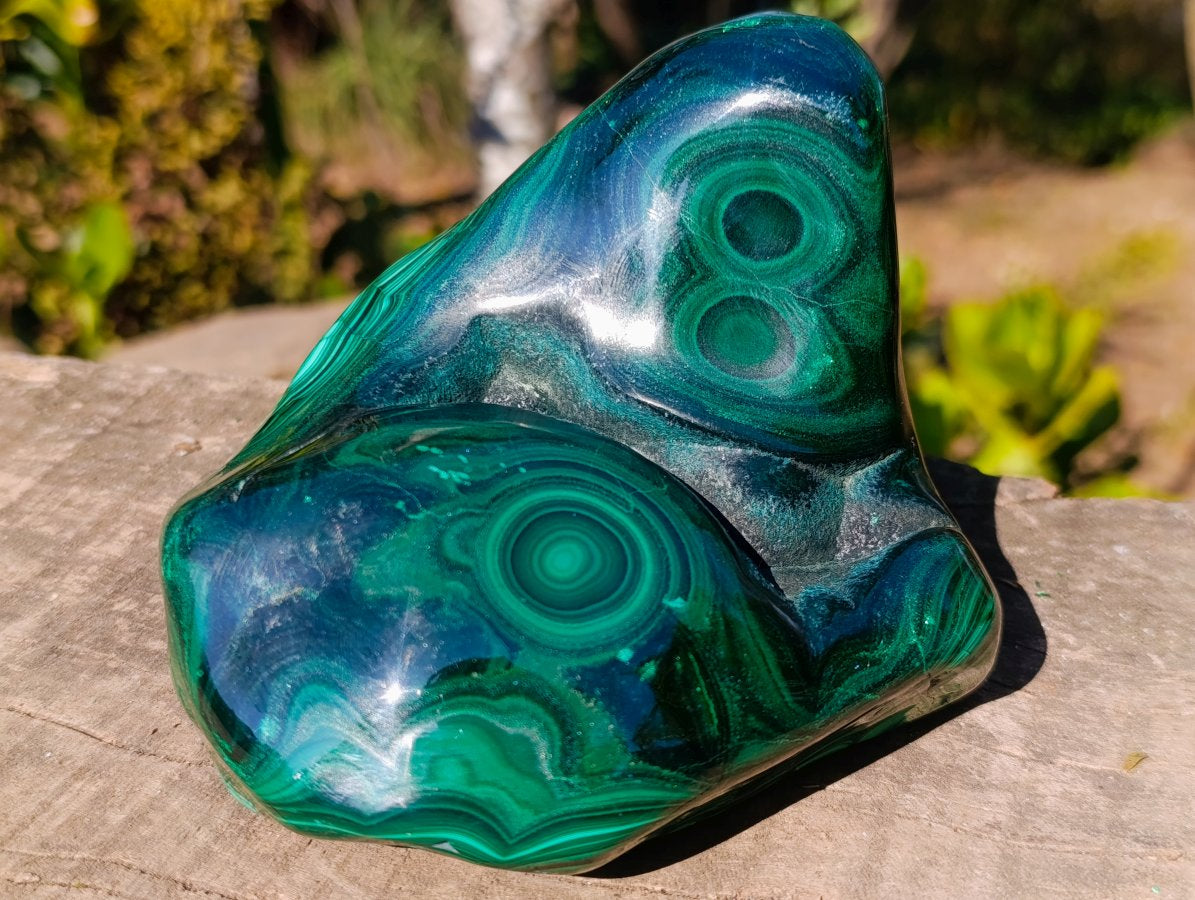 Polished Large Flower Banded Malachite Free Form x 1 From Congo - Toprock Gemstones and Minerals 