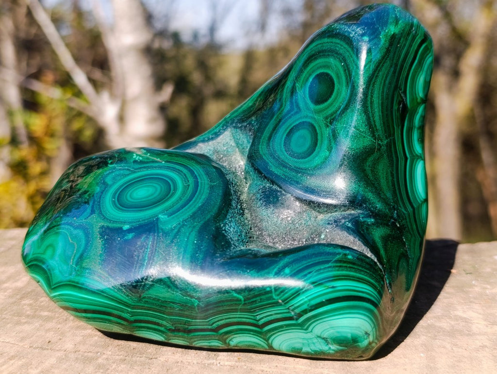 Polished Large Flower Banded Malachite Free Form x 1 From Congo - Toprock Gemstones and Minerals 