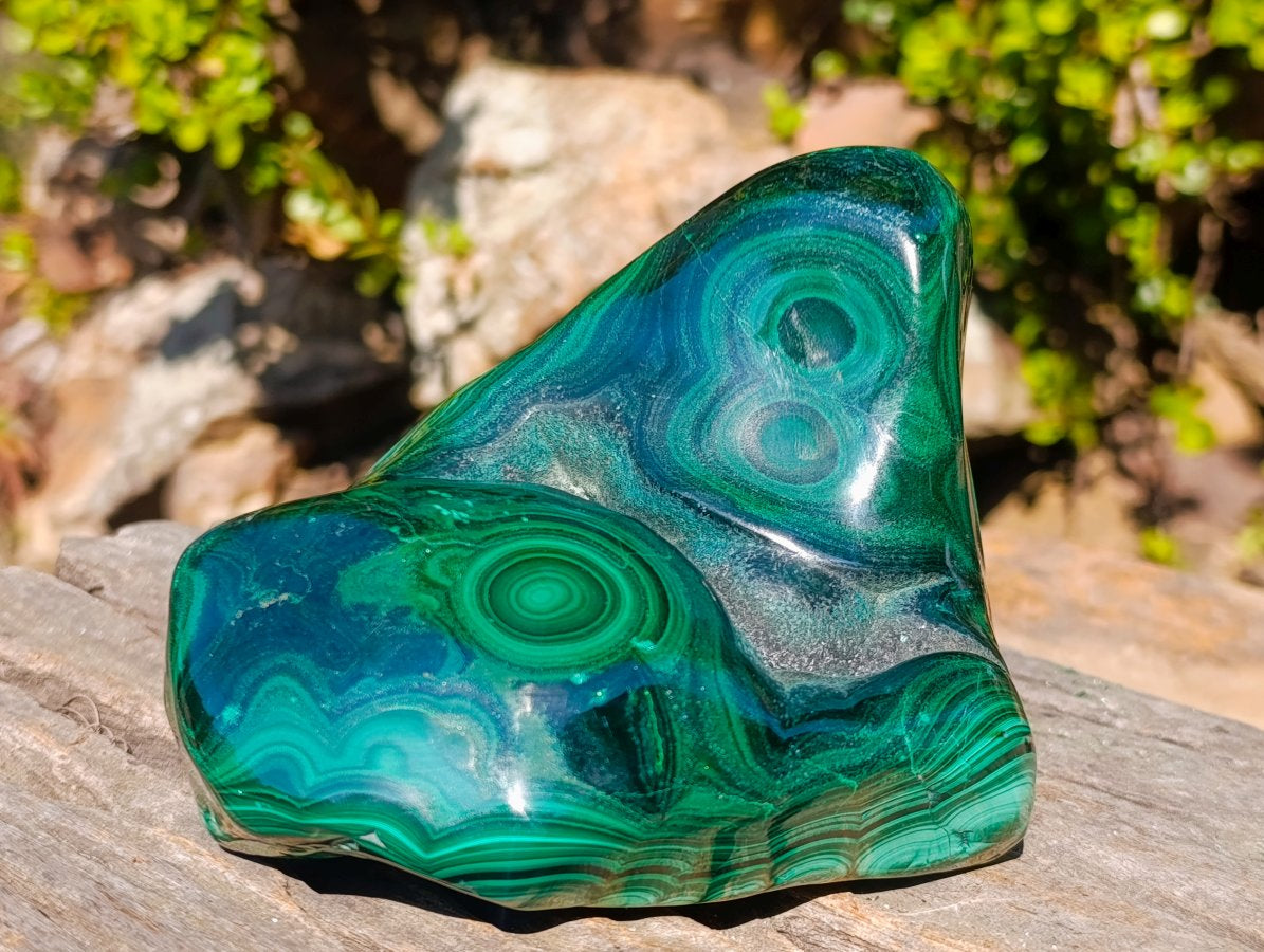 Polished Large Flower Banded Malachite Free Form x 1 From Congo - Toprock Gemstones and Minerals 