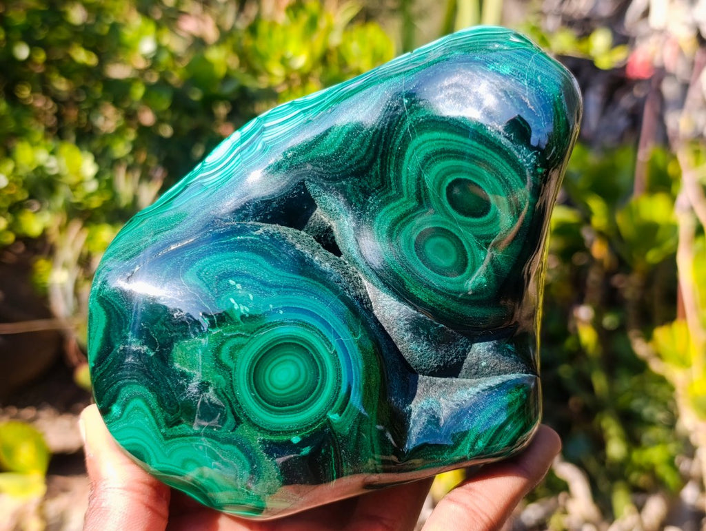 Polished Large Flower Banded Malachite Free Form x 1 From Congo - Toprock Gemstones and Minerals 