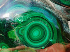 Polished Large Flower Banded Malachite Free Form x 1 From Congo - Toprock Gemstones and Minerals 