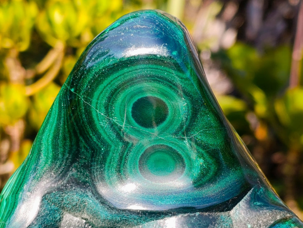 Polished Large Flower Banded Malachite Free Form x 1 From Congo - Toprock Gemstones and Minerals 