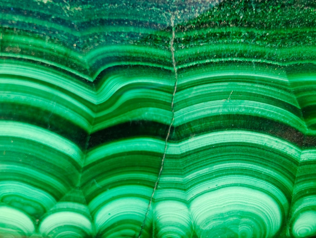 Polished Large Flower Banded Malachite Free Form x 1 From Congo - Toprock Gemstones and Minerals 