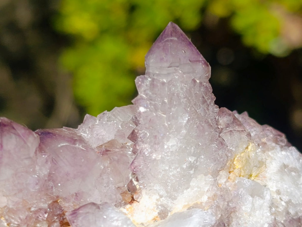 Natural Sunburst Amethyst Spirit Clusters x 6 From Boekenhouthoek, South Africa