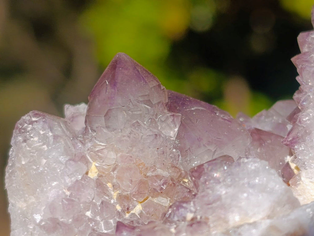 Natural Sunburst Amethyst Spirit Clusters x 6 From Boekenhouthoek, South Africa