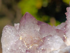Natural Sunburst Amethyst Spirit Clusters x 6 From Boekenhouthoek, South Africa