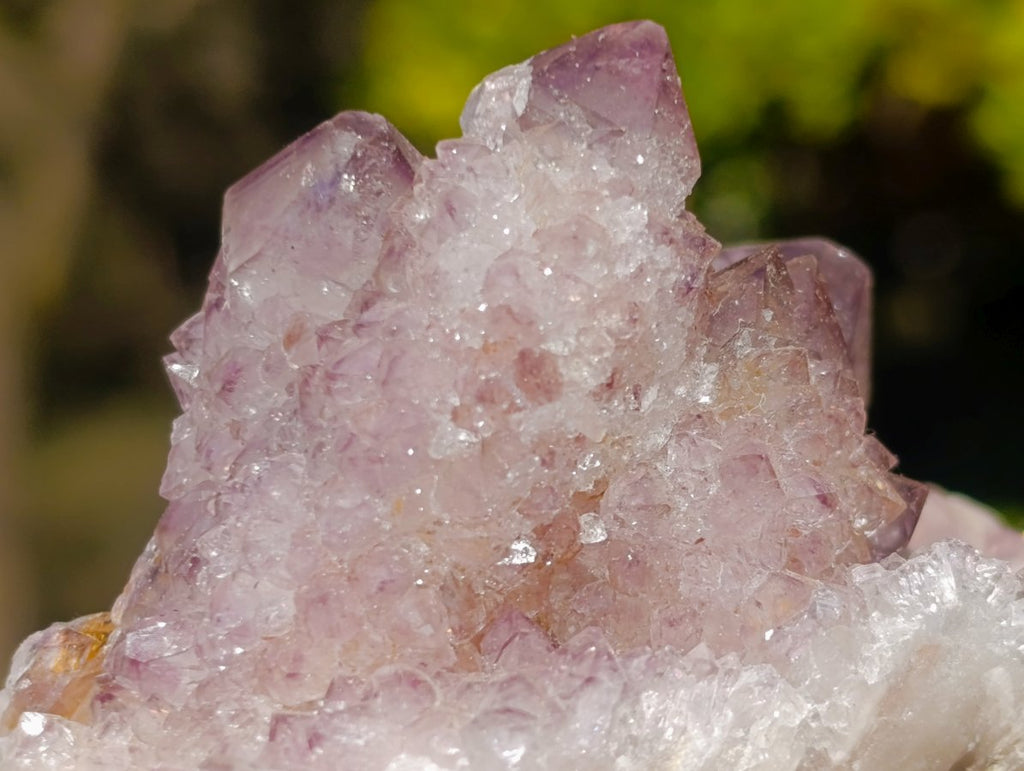 Natural Sunburst Amethyst Spirit Clusters x 6 From Boekenhouthoek, South Africa