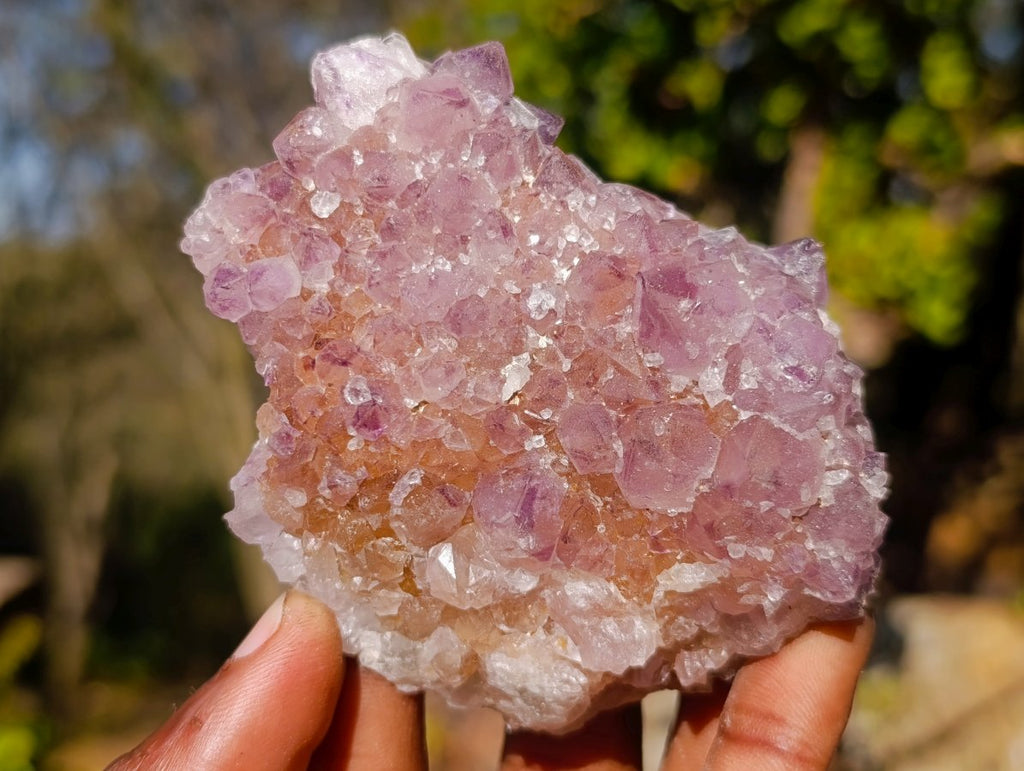 Natural Sunburst Amethyst Spirit Clusters x 6 From Boekenhouthoek, South Africa