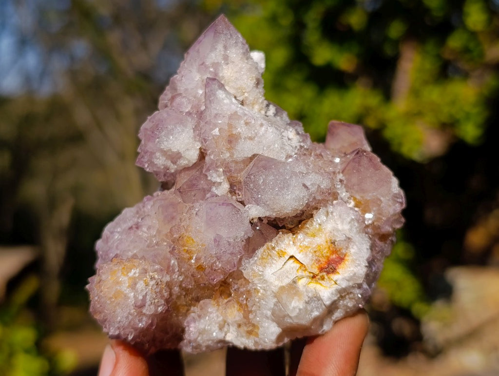 Natural Sunburst Amethyst Spirit Clusters x 6 From Boekenhouthoek, South Africa