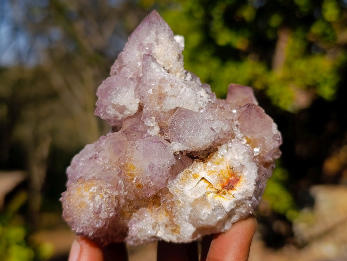 Natural Sunburst Amethyst Spirit Clusters x 6 From Boekenhouthoek, South Africa