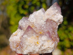 Natural Sunburst Amethyst Spirit Clusters x 6 From Boekenhouthoek, South Africa