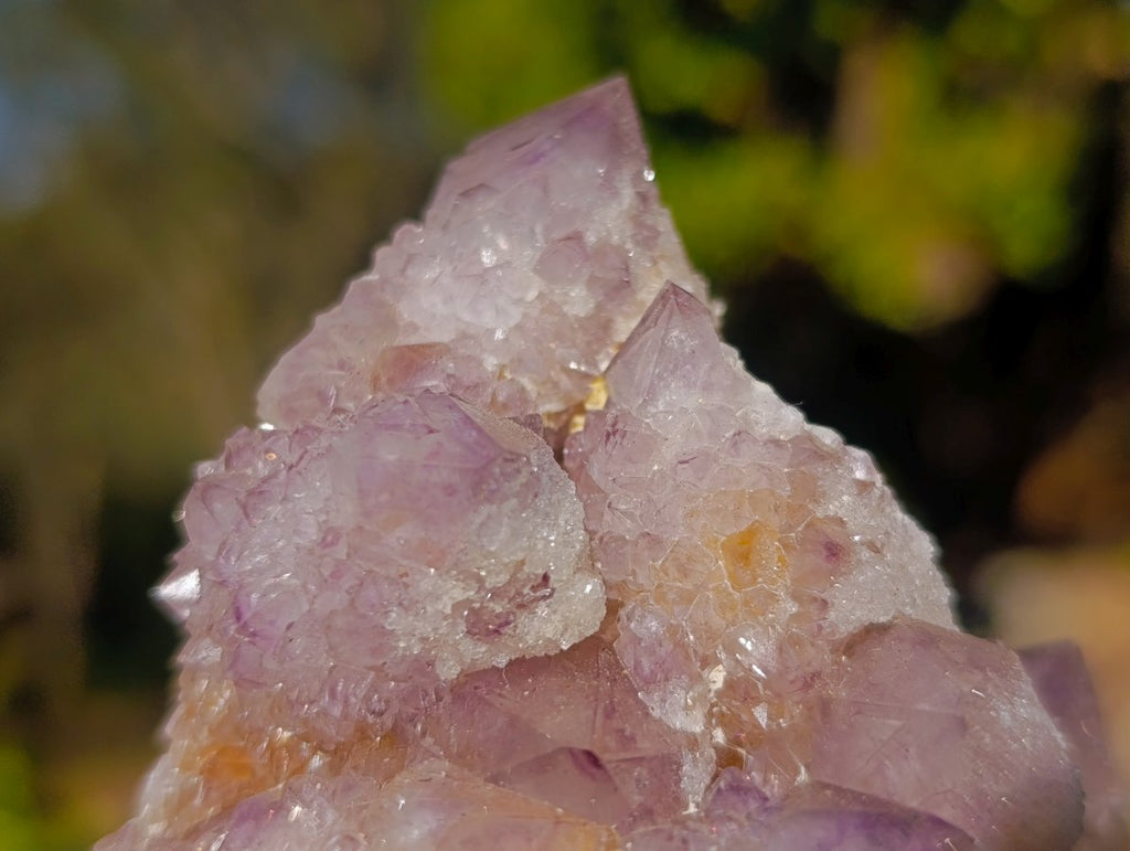 Natural Sunburst Amethyst Spirit Clusters x 6 From Boekenhouthoek, South Africa
