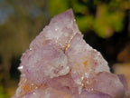 Natural Sunburst Amethyst Spirit Clusters x 6 From Boekenhouthoek, South Africa