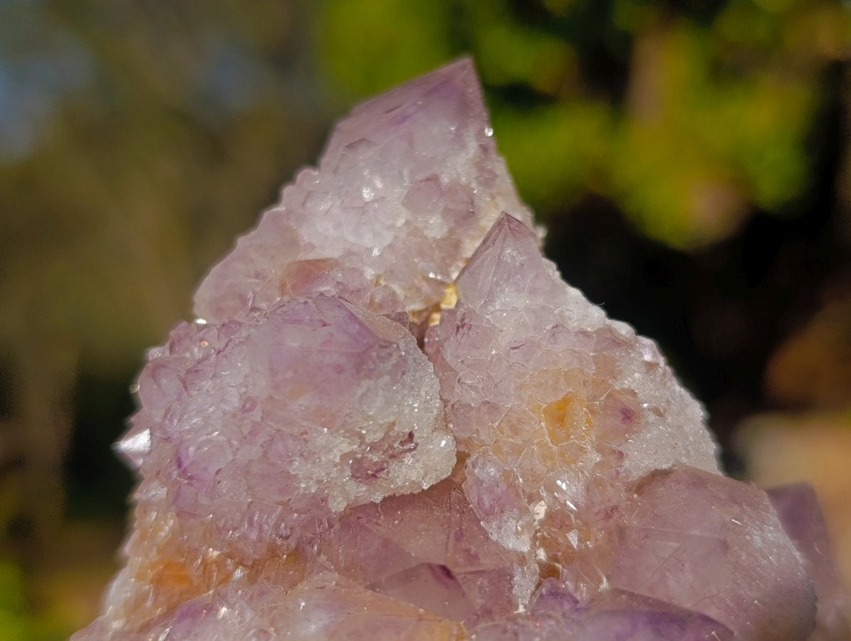 Natural Sunburst Amethyst Spirit Clusters x 6 From Boekenhouthoek, South Africa