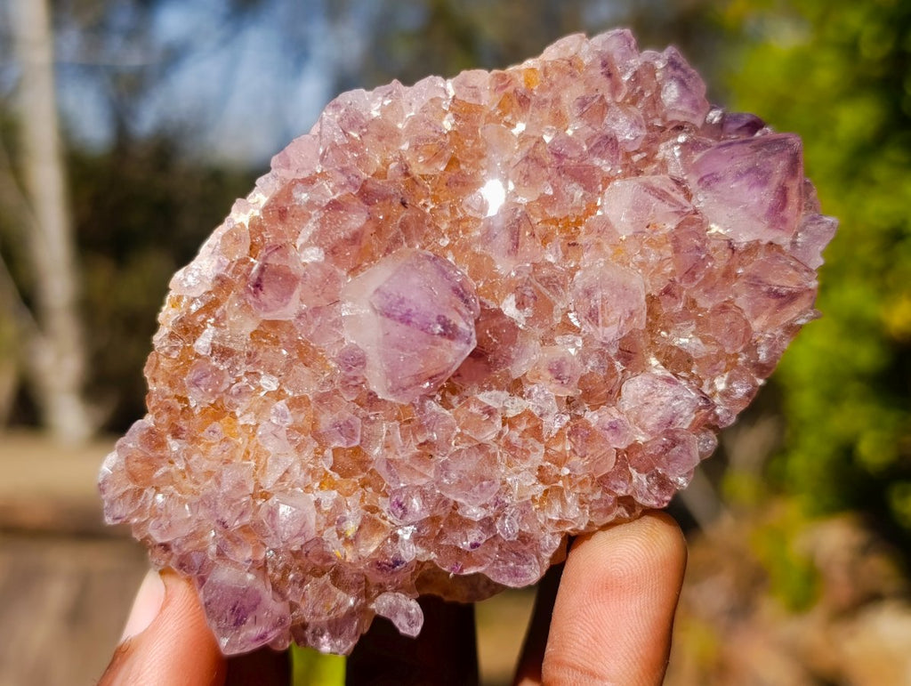 Natural Sunburst Amethyst Spirit Clusters x 6 From Boekenhouthoek, South Africa