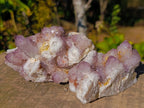 Natural Sunburst Amethyst Spirit Clusters x 6 From Boekenhouthoek, South Africa