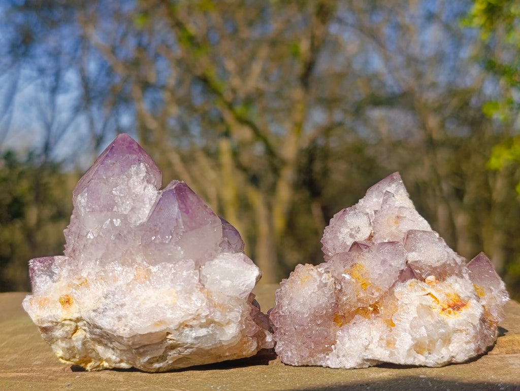 Natural Sunburst Amethyst Spirit Clusters x 6 From Boekenhouthoek, South Africa