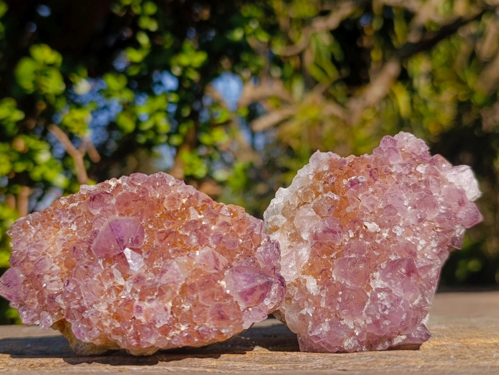 Natural Sunburst Amethyst Spirit Clusters x 6 From Boekenhouthoek, South Africa
