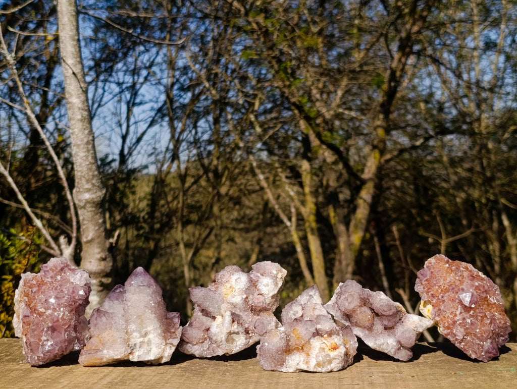 Natural Sunburst Amethyst Spirit Clusters x 6 From Boekenhouthoek, South Africa