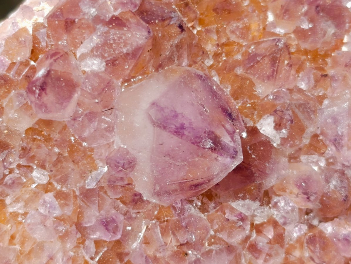 Natural Sunburst Amethyst Spirit Clusters x 6 From Boekenhouthoek, South Africa