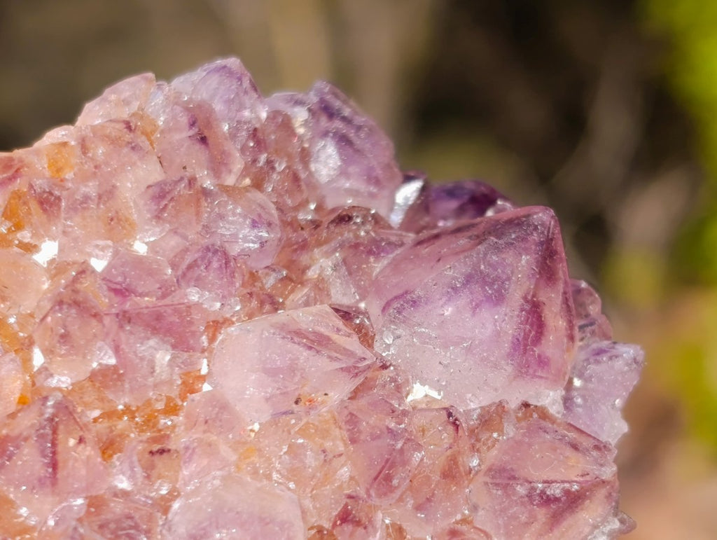Natural Sunburst Amethyst Spirit Clusters x 6 From Boekenhouthoek, South Africa