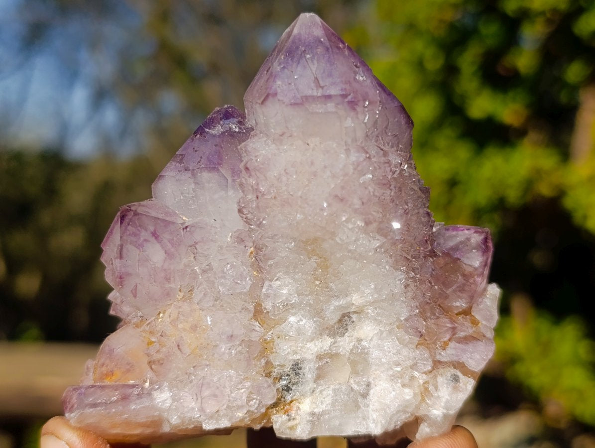 Natural Sunburst Amethyst Spirit Clusters x 6 From Boekenhouthoek, South Africa