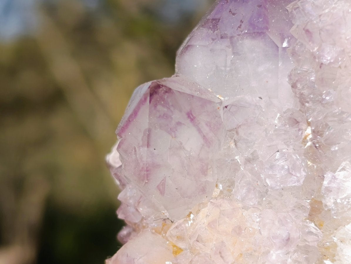 Natural Sunburst Amethyst Spirit Clusters x 6 From Boekenhouthoek, South Africa